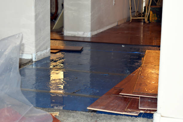 Professional Basement Flooding technician working in Victoria, VA